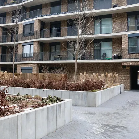 Axman *